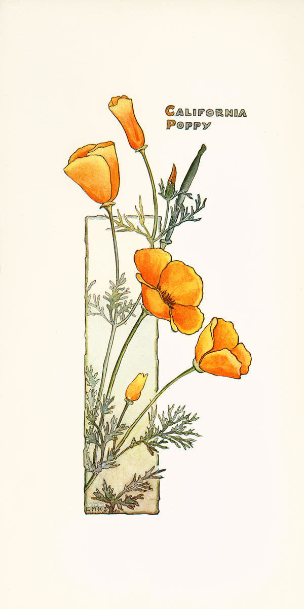 Poppy Hoops II